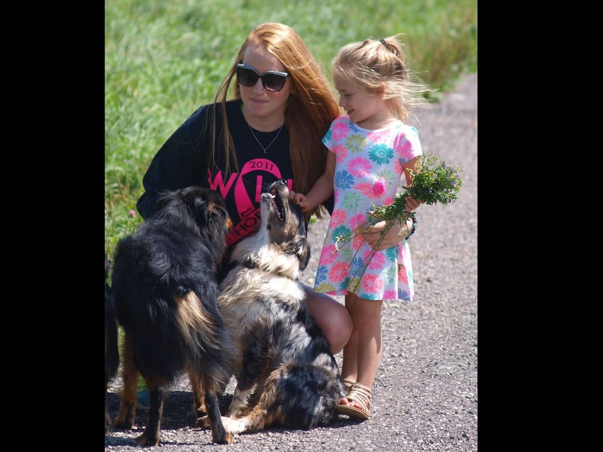 Farm and Family Raised AKC Rottweiler Puppies - Both Parents on Site breeder image 3