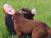 Farm and Family Raised AKC Rottweiler Puppies - Both Parents on Site breeder image 10