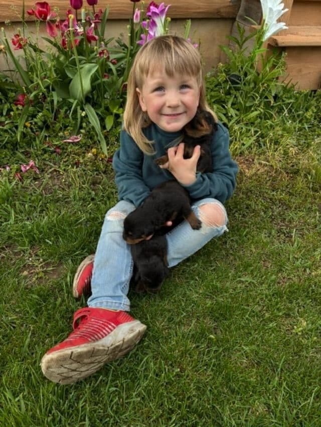 Farm and Family Raised Rottweiler Puppies Born April 18, 2026 media 9