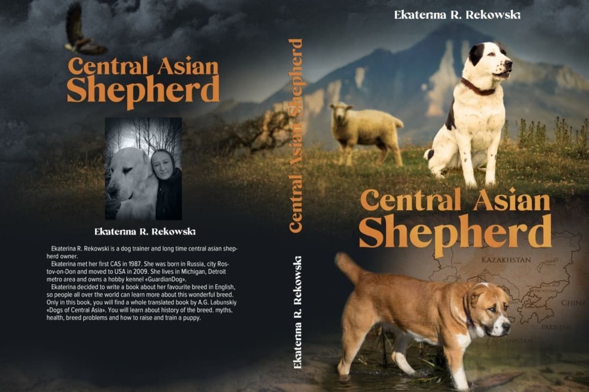 Central Asian Shepherd Dog Puppies breeder image 12