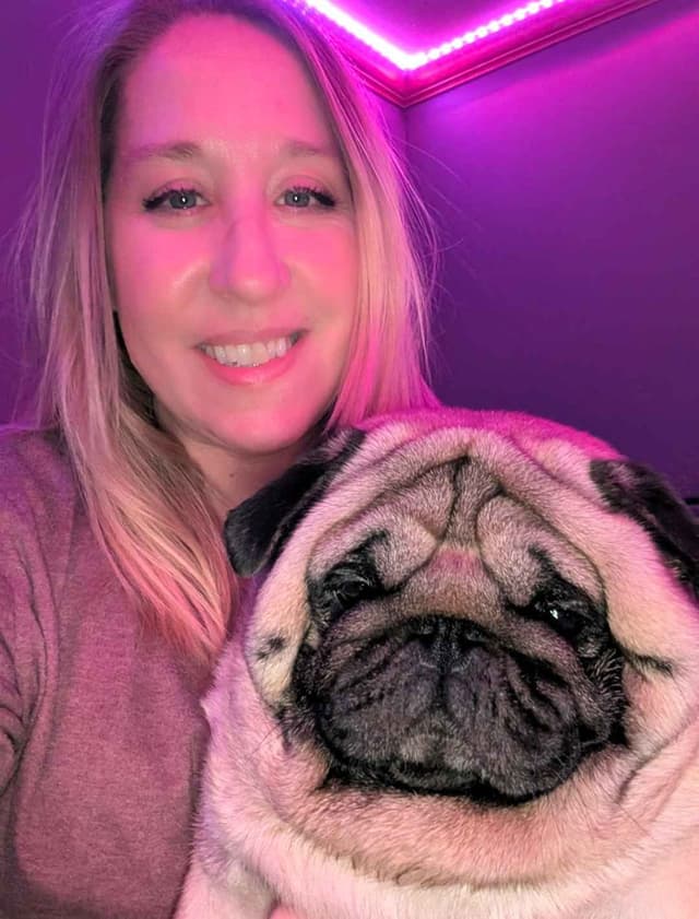 Pug Puppies media 6