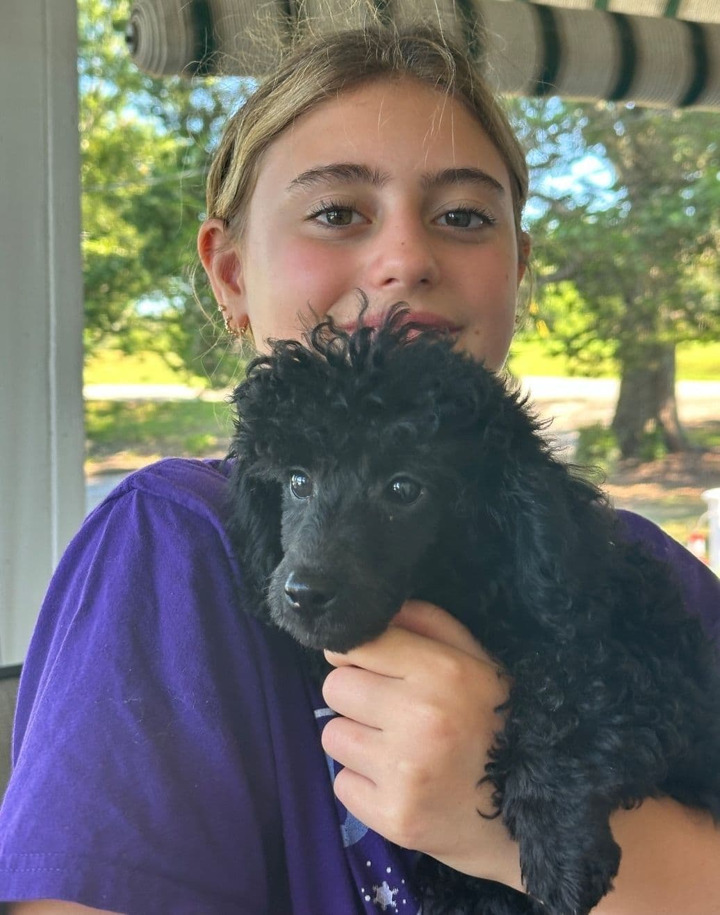 Poodle Puppies breeder image 4