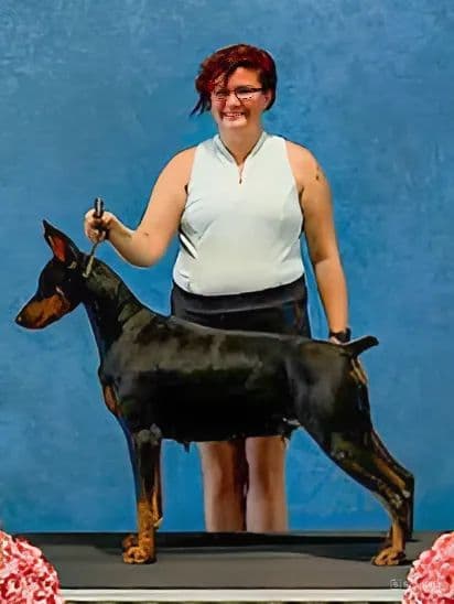 50/50 Euro/American Puppies breeder image 1