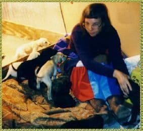 Afghan Hound Puppies breeder image 6