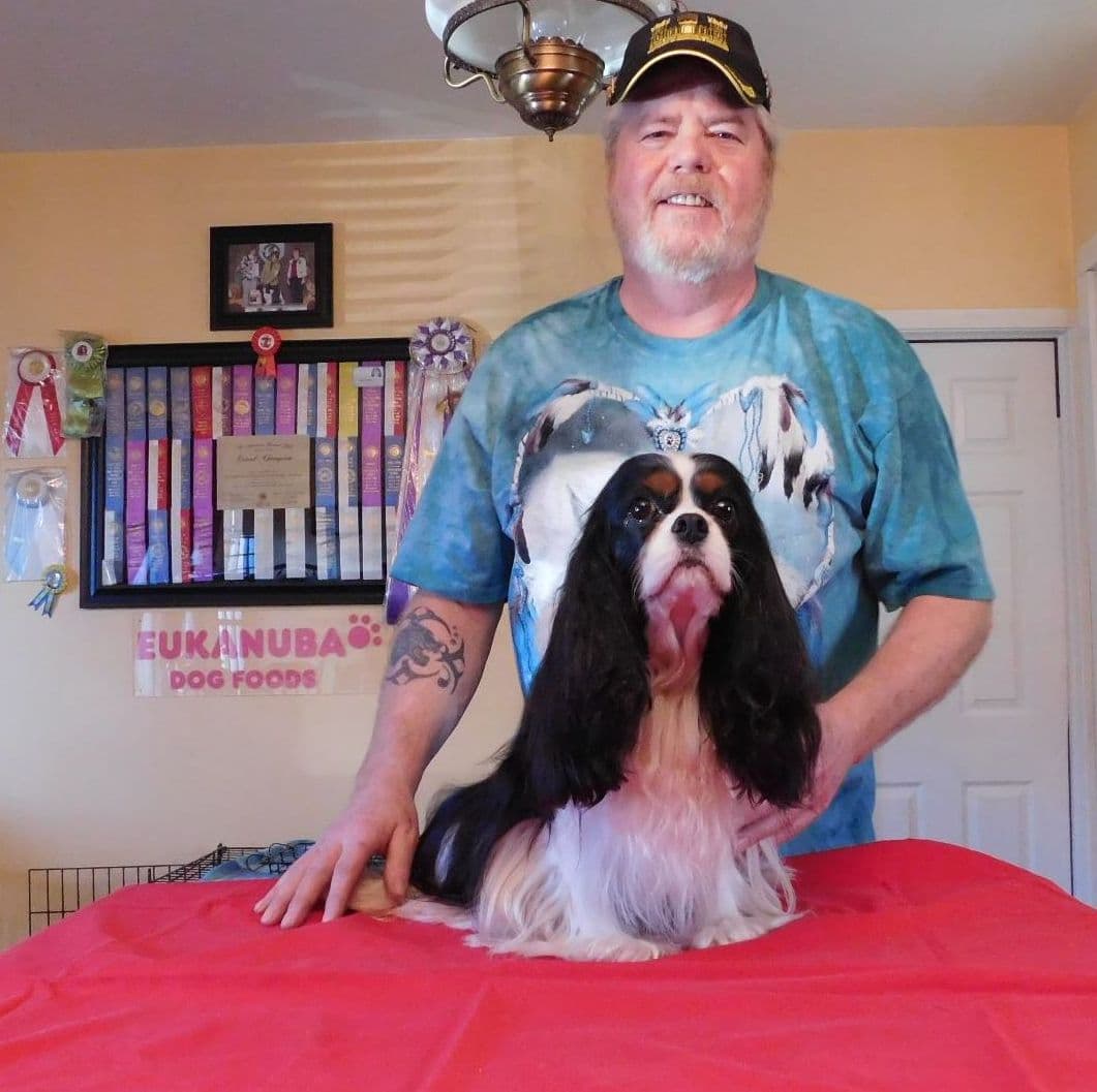 Cavalier King Charles Spaniel Puppies breeder image 3