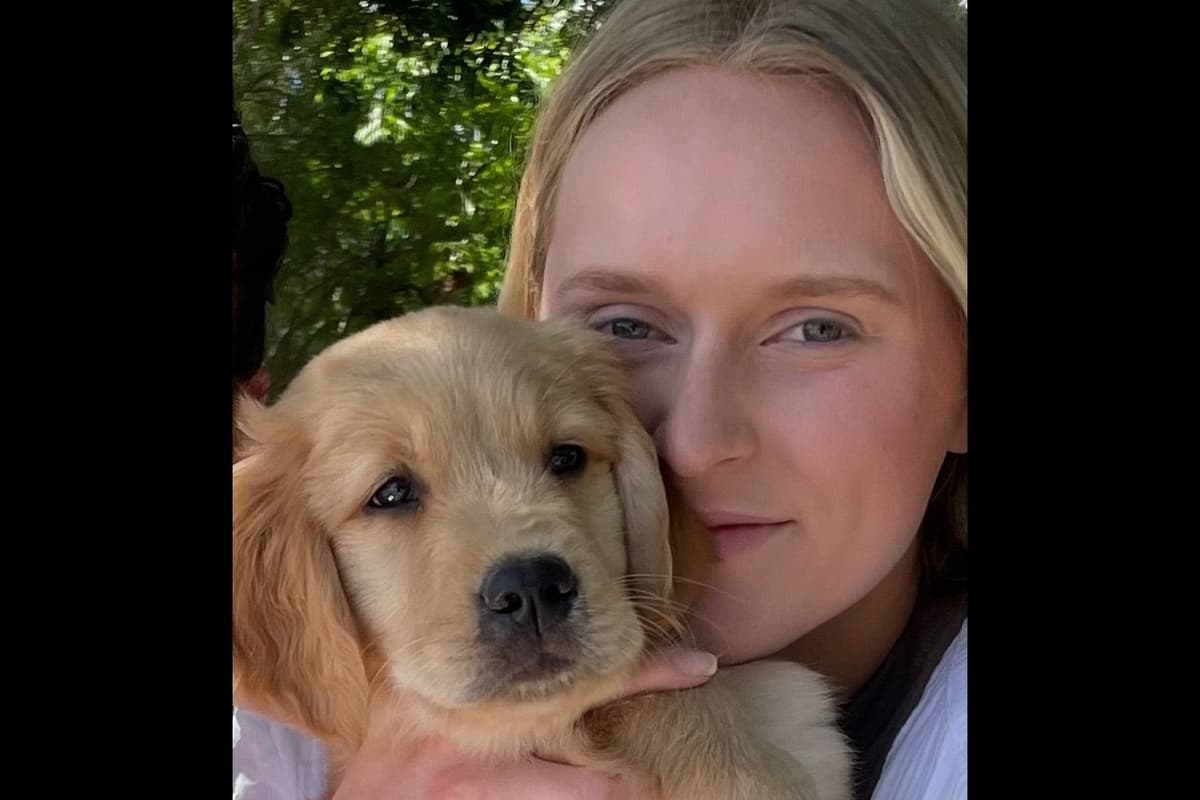 On Golden Pond Golden Retrievers breeder image 96