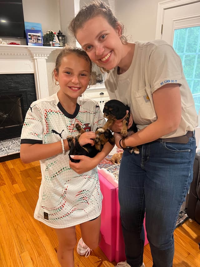 Cavalier King Charles Spaniel Puppies media 11