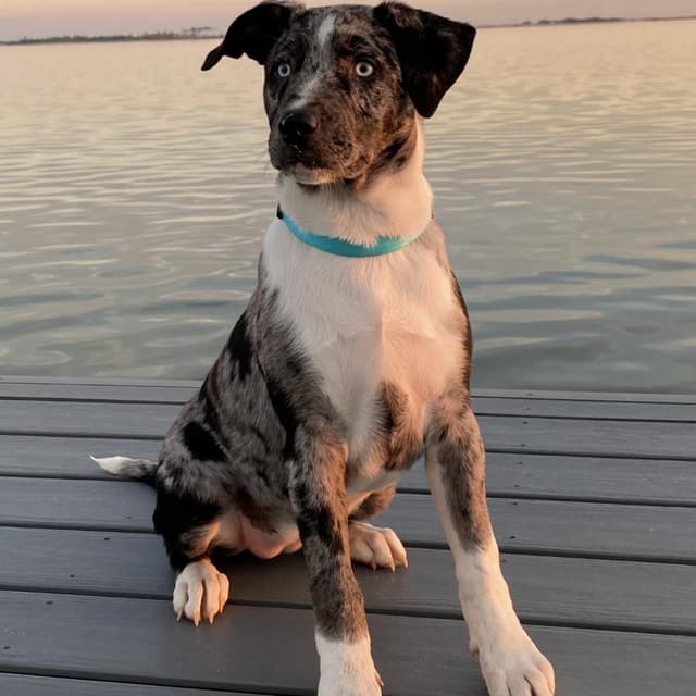 Daisy Mae media 6