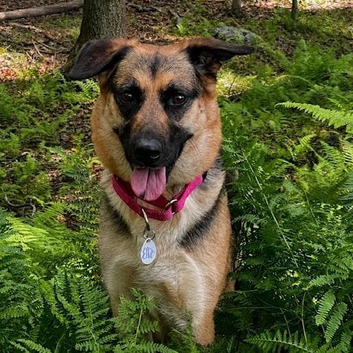 Ellie Mae (26-247) media 2