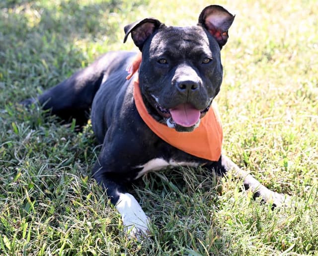 Frannie *Sponsored Adoption media 3