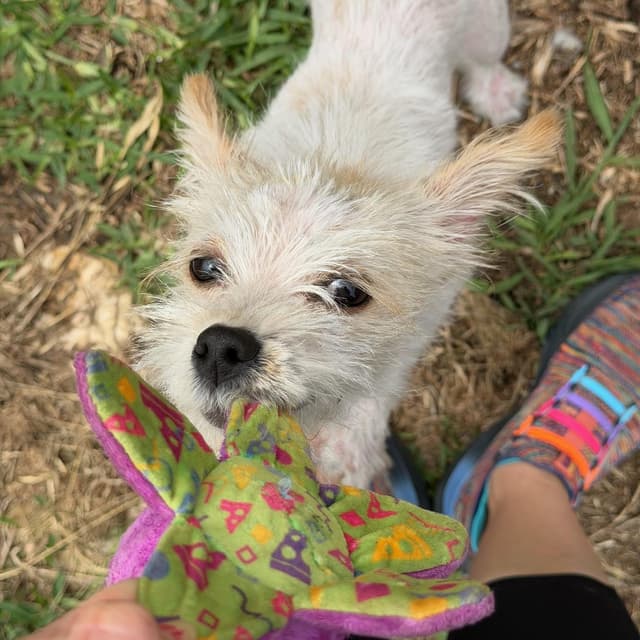 Kiki is adorkable media 3