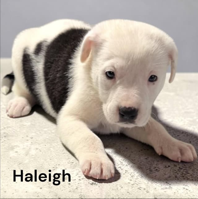 Haleigh media 3