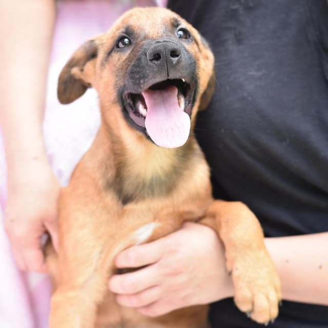 Julian (Victoria Litter) media 3