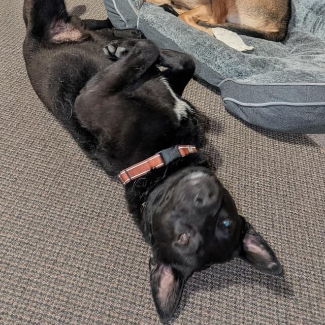 Quest media 3
