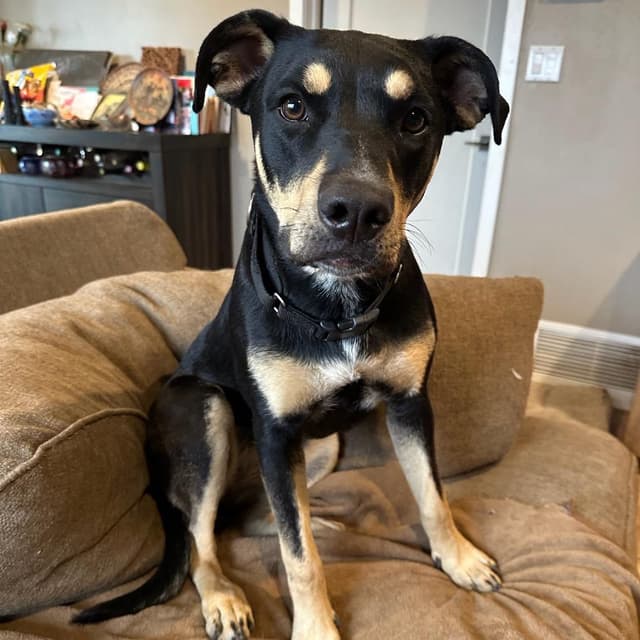 Sammie Sweetheart media 2