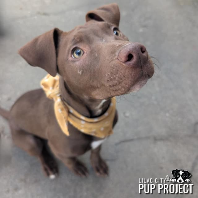 Ellie media 6