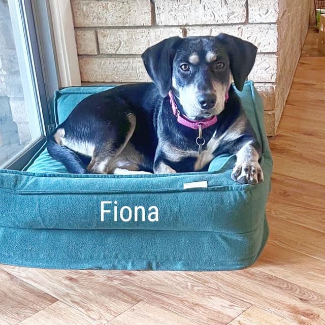Fiona media 3