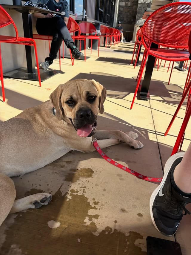 Missy media 2
