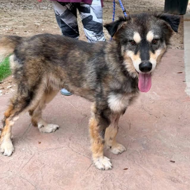 Samuel *Arriving 7/11* D11643 media 5