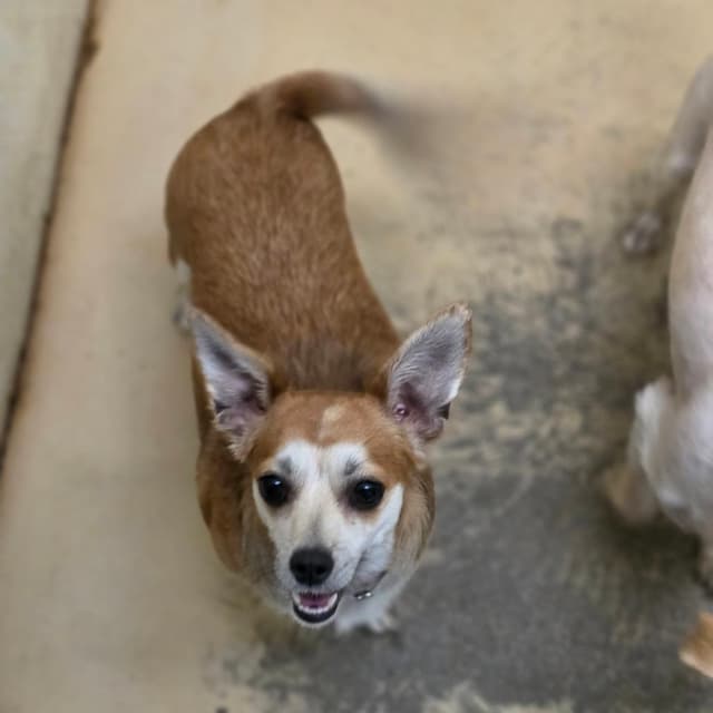 Tilly - Chino Hills Location media 5