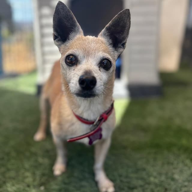 Gramma/A1046843 media 5