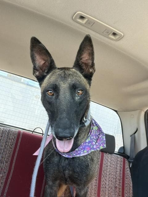 Tess located in CA media 3