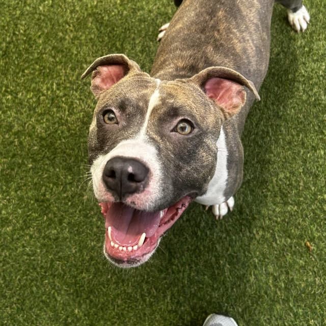 Diamond media 3