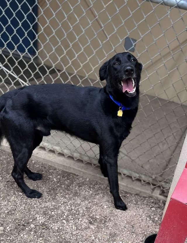 Cash* A217167 media 4