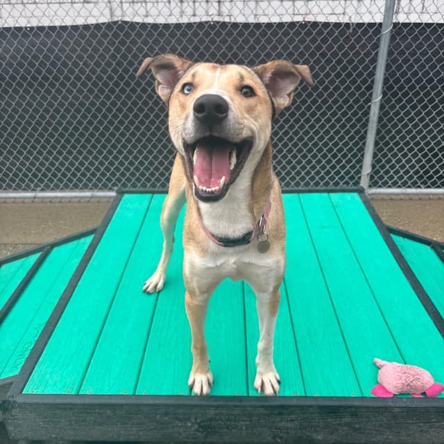 Rose aka Maggie media 6