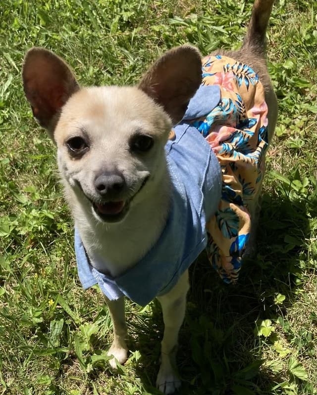 Winnie media 2