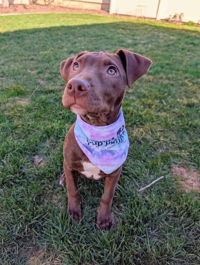 Ellie media 2