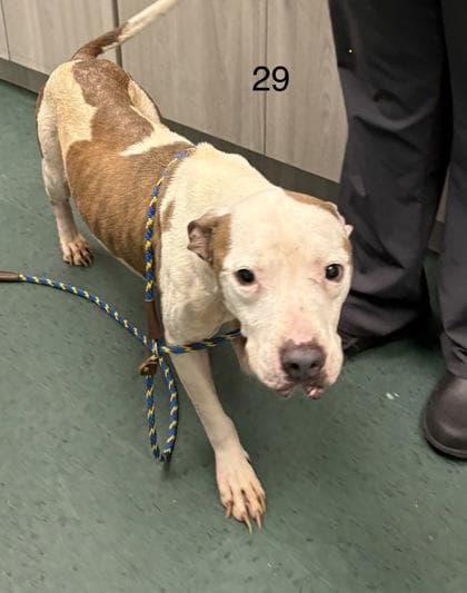 Raymond media 3