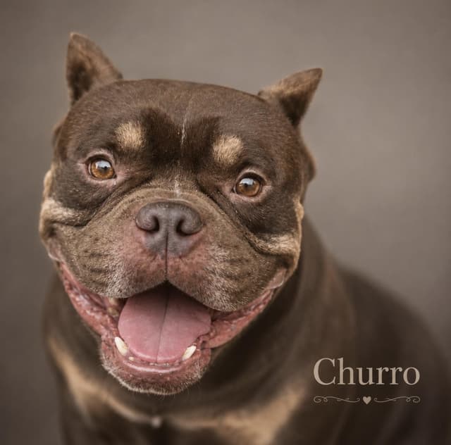Churro media 5
