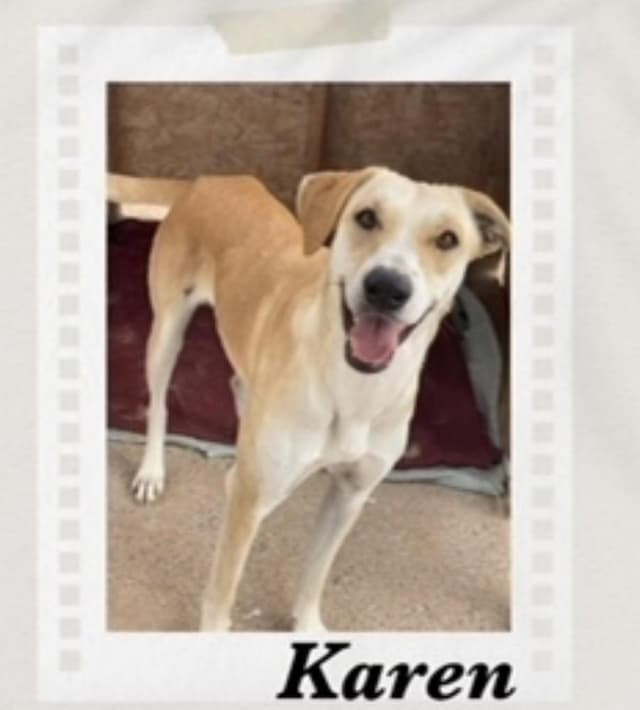 Karen/Tilly media 2