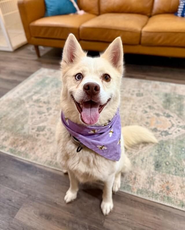 Carrol Cutie the Snaggletooth Beauty media 5