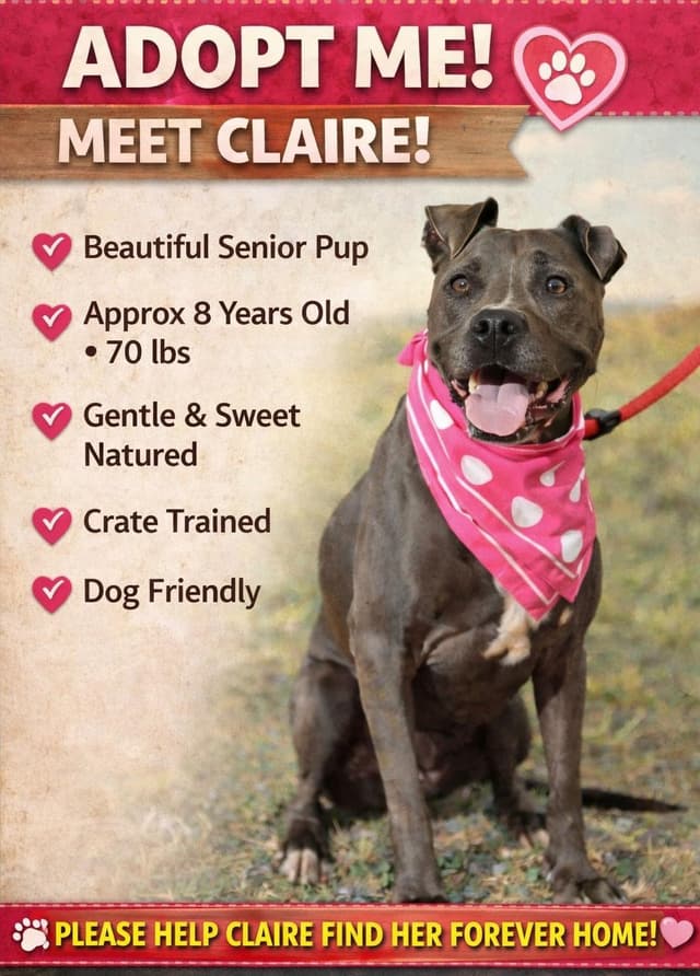 Claire media 4