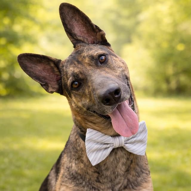 CHUCK GS media 2