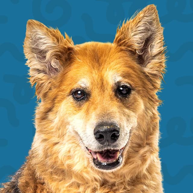 Addie media 2