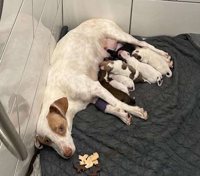 Khloe` media 3
