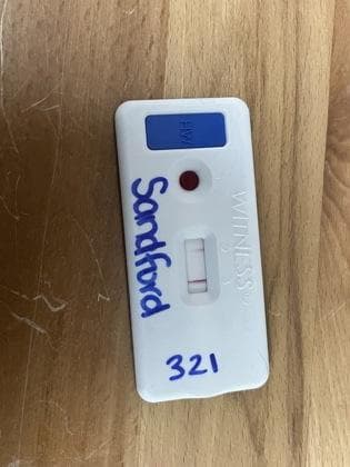 Sanford media 2