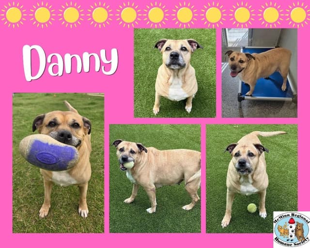Danny media 3