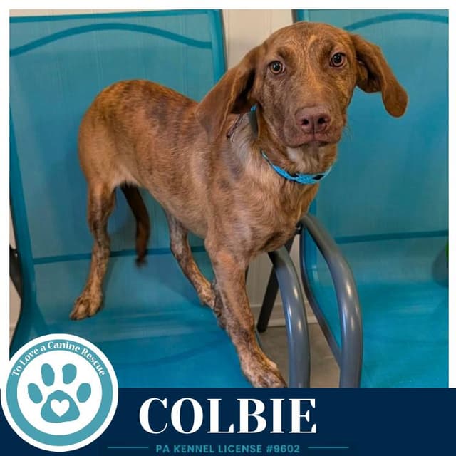 Colbie (The Copper Crew) 062026 media 2