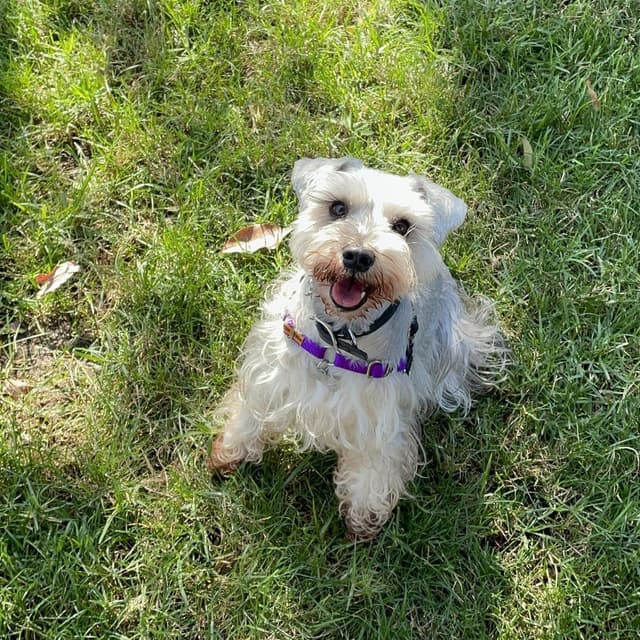 Willa - Home to Home media 2