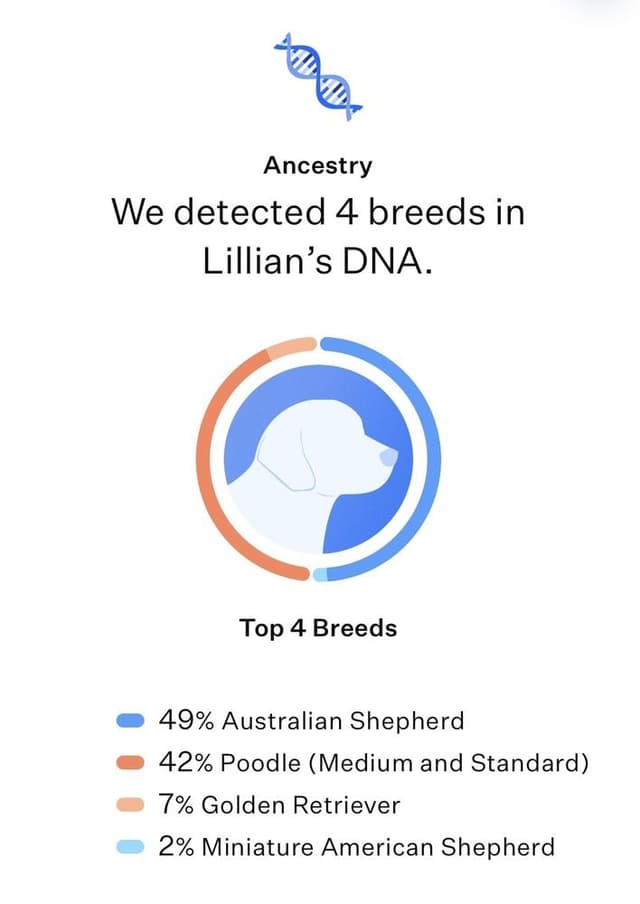 Lillian media 3