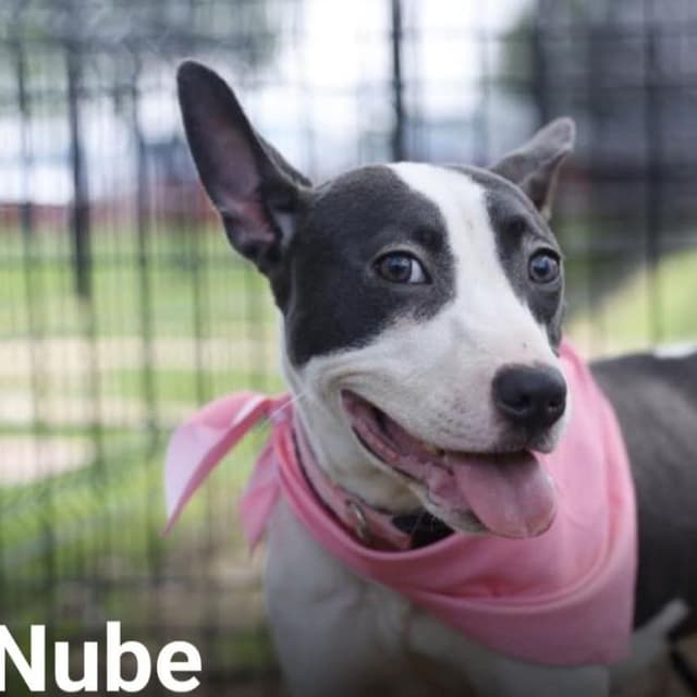 Nube media 2