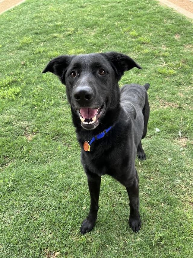 Cash* A217167 media 3