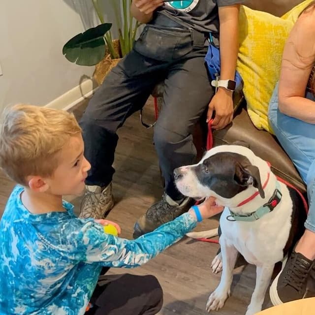 Panda the perfect doggy pal media 2