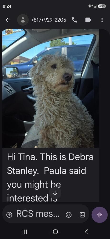 Scooby media 5