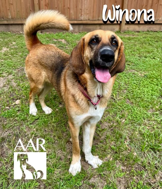 Wynonna media 2