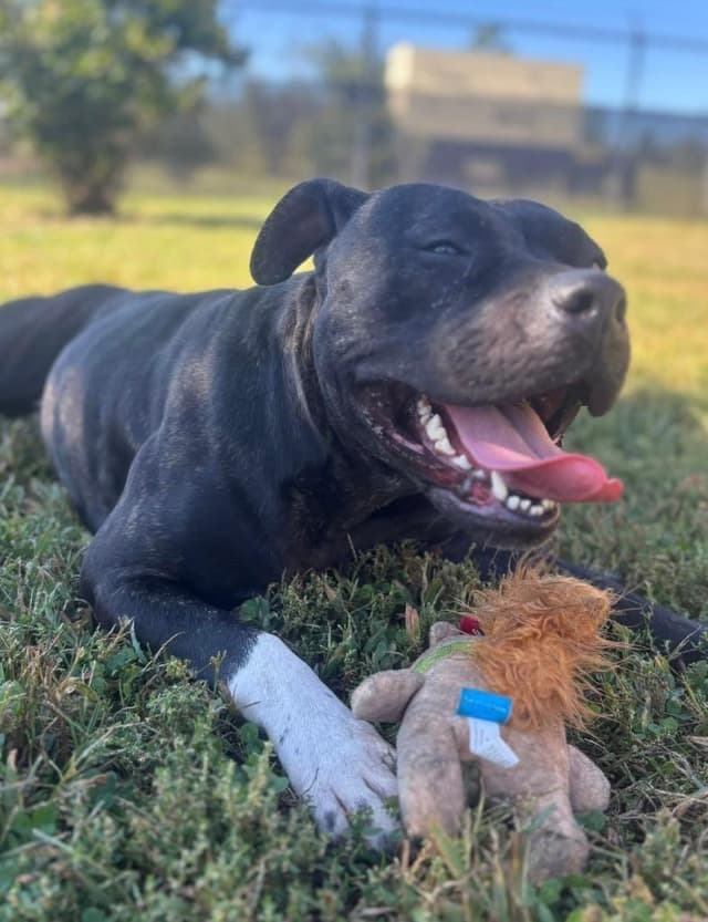 Frannie *Sponsored Adoption media 6